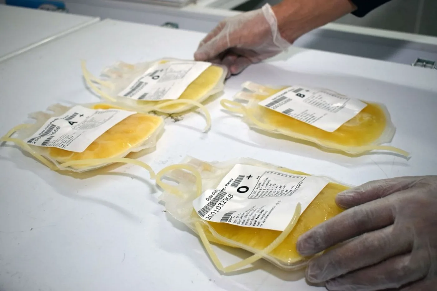 Entre Ríos creará un banco de plasma para tratar a pacientes
