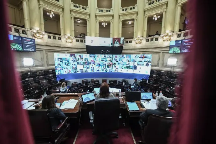 El Senado sesionó de manera virtual.