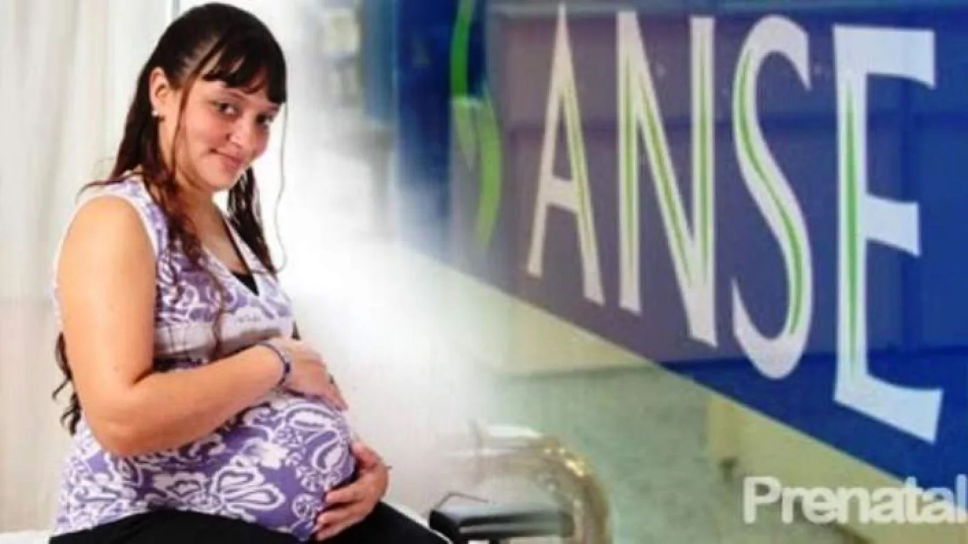 Anses brinda cobertura durante el embarazo