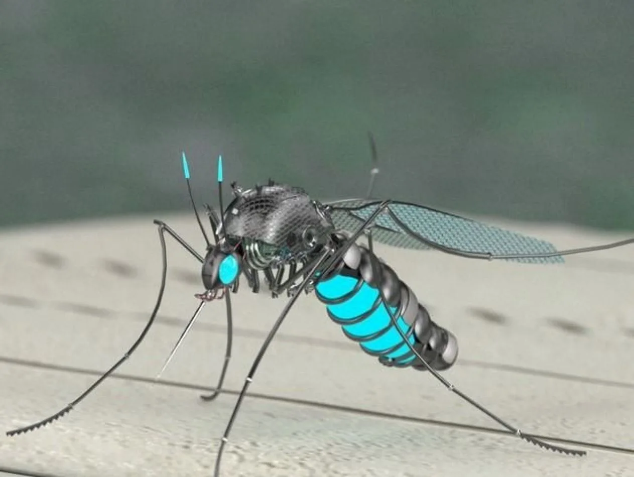 Planean liberar 750 millones de mosquitos modificados genéticamente en los Cayos de Florida