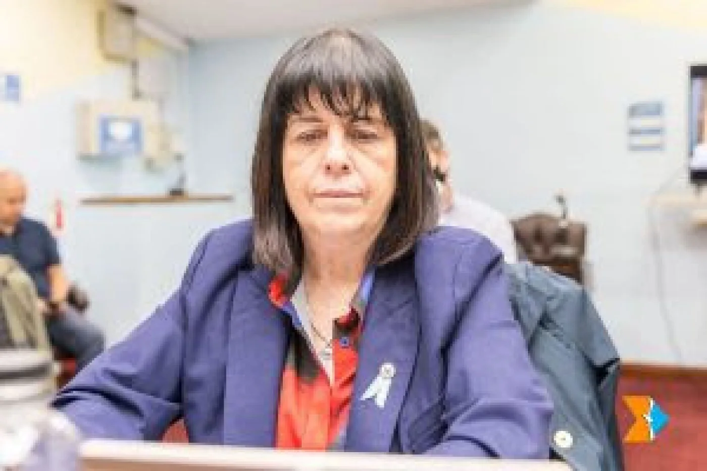 La legisladora Liliana Martínez Allende (UCR)