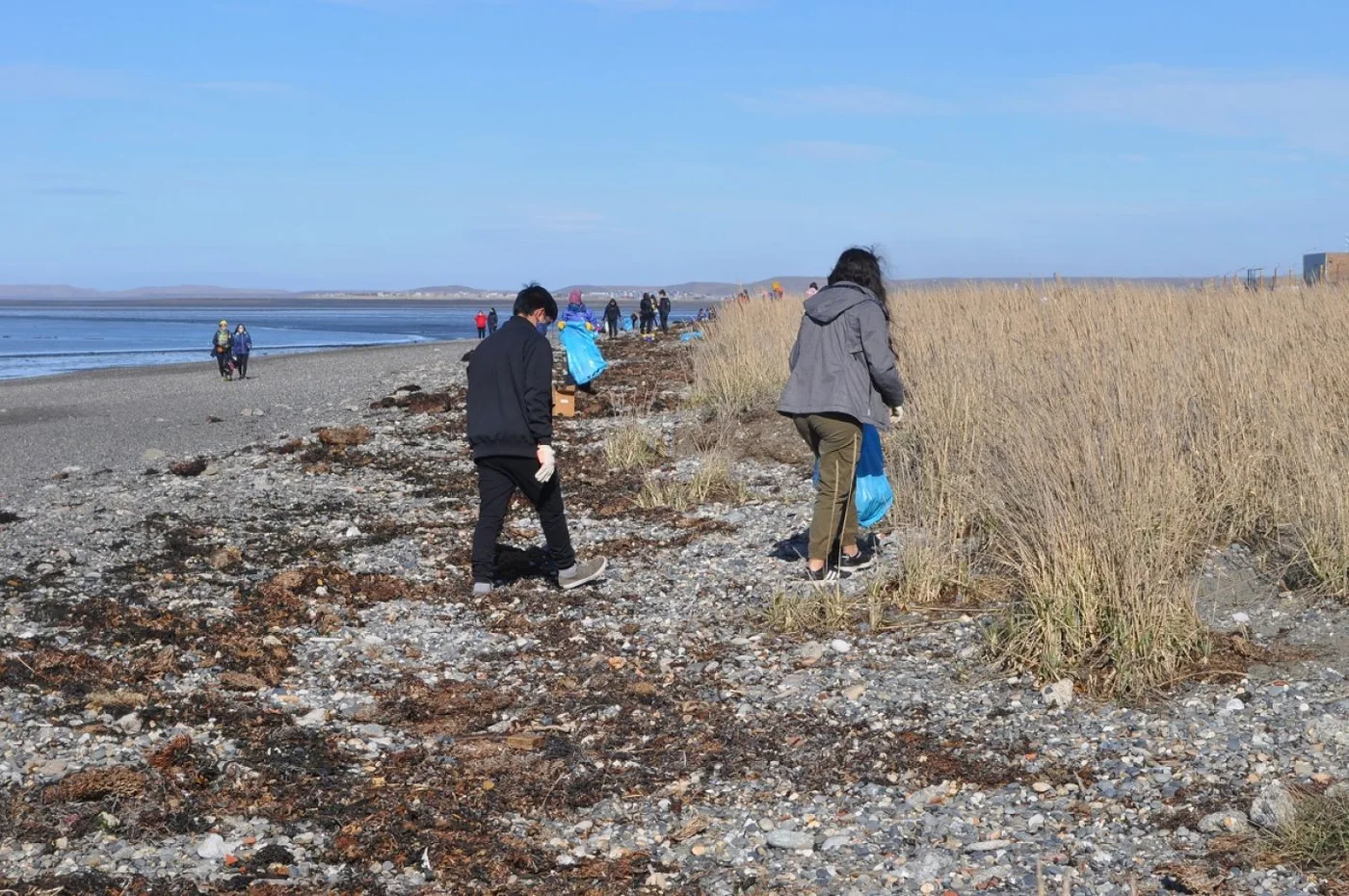 Casi un centenar de voluntarios se sumaron de manera desinteresada a la campaña de limpieza de la playa.