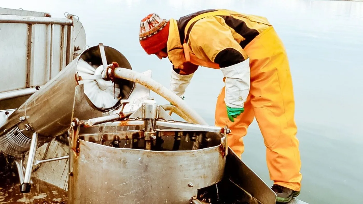 Se encuentra operativa la primera planta de procesamiento de pescado y mariscos de Almanza