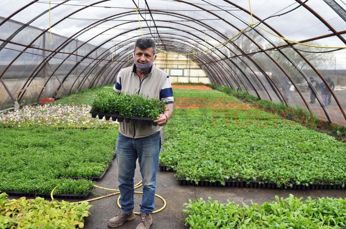 El Ingeniero Heraldo Rivadero, brindó detalles de la colocación y entrega de plantines.