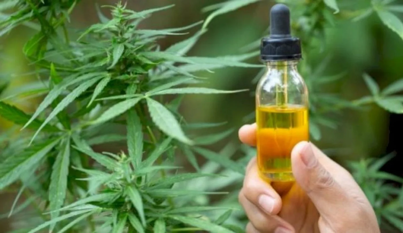 El Gobierno legalizó el autocultivo para uso medicinal y el expendio de aceites en farmacias
