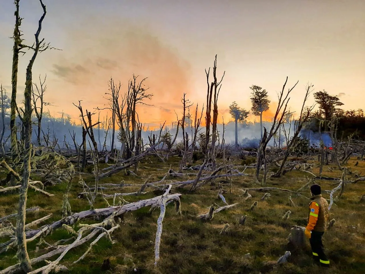 Unidad Provincial de Manejo del Fuego trabajó en la extinción de un incendio forestal en una turbera