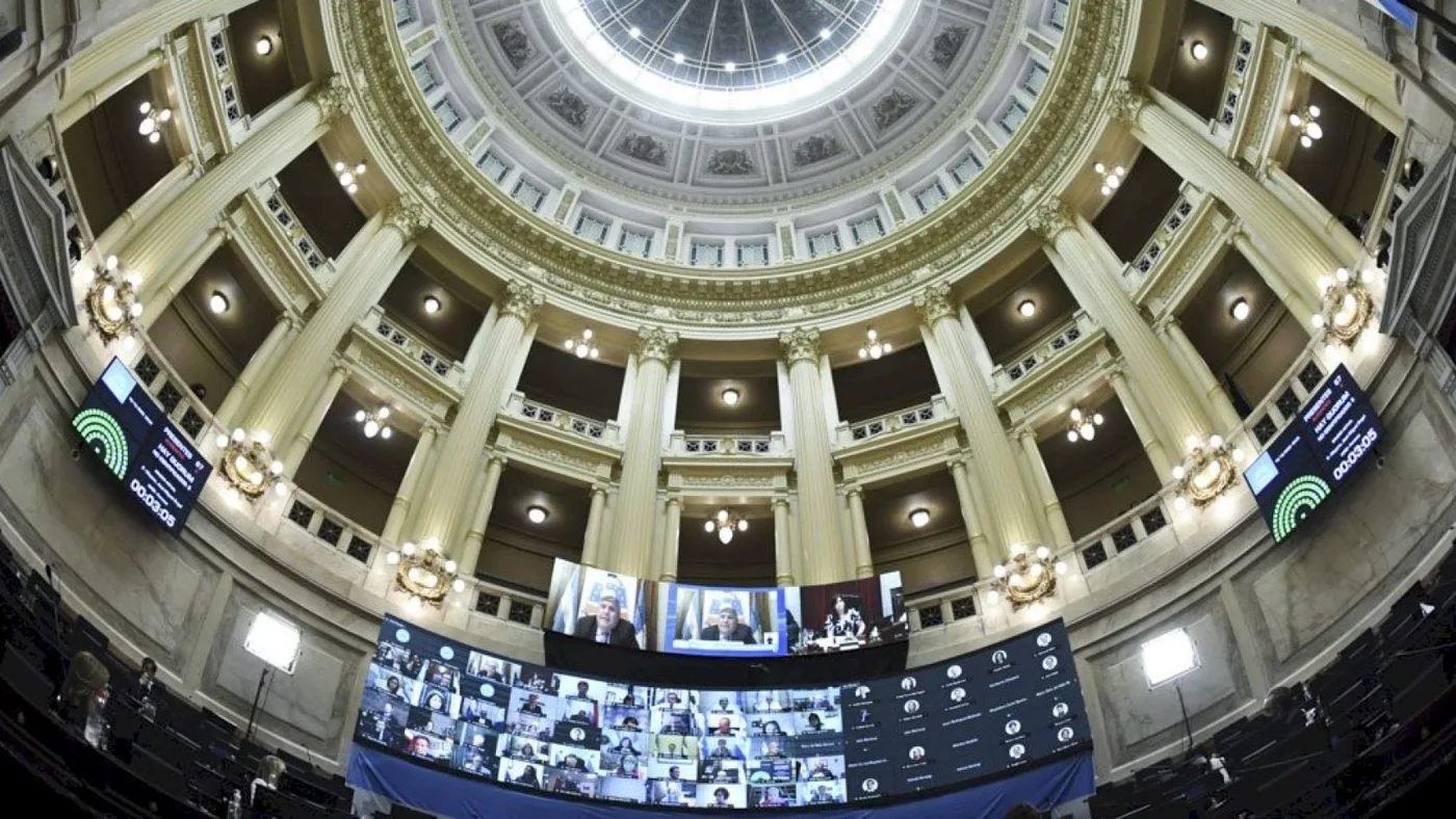 Empieza la discusión del proyecto en el Senado