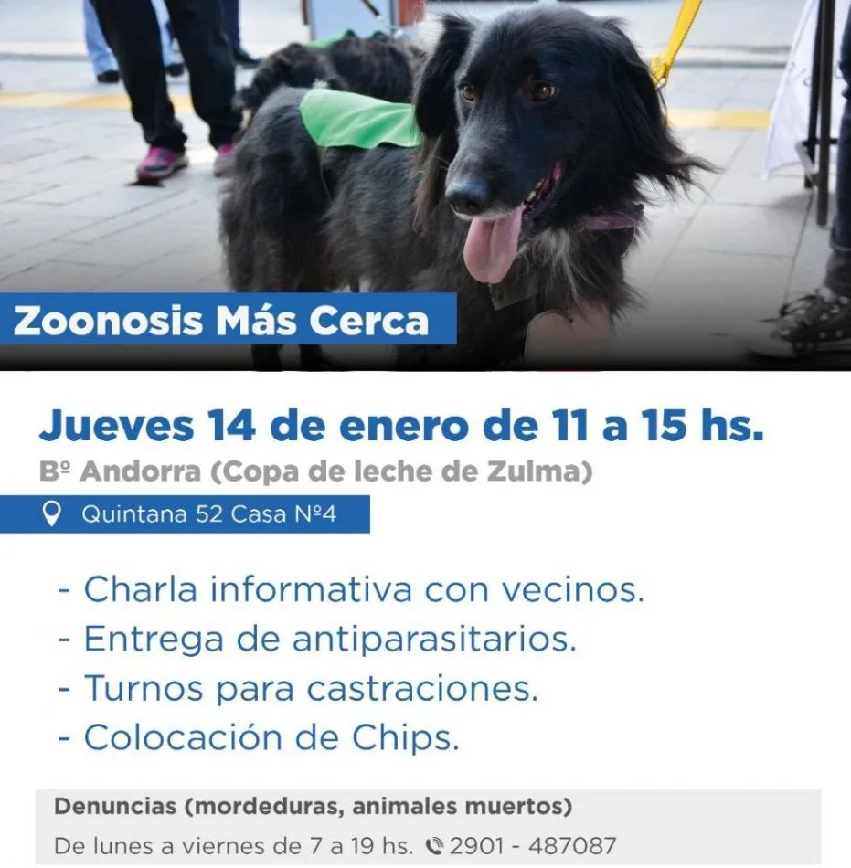 "Zoonosis más cerca" estará en el barrio Andorra