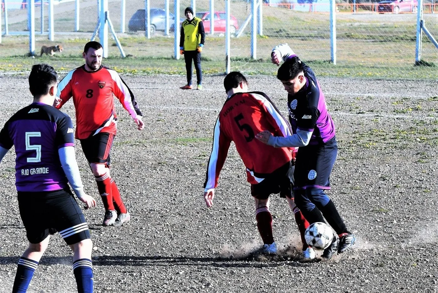 Se pone a punto el Campeonato 2021