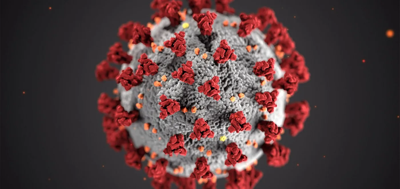 Encuentran una nueva cepa de coronavirus en Argentina