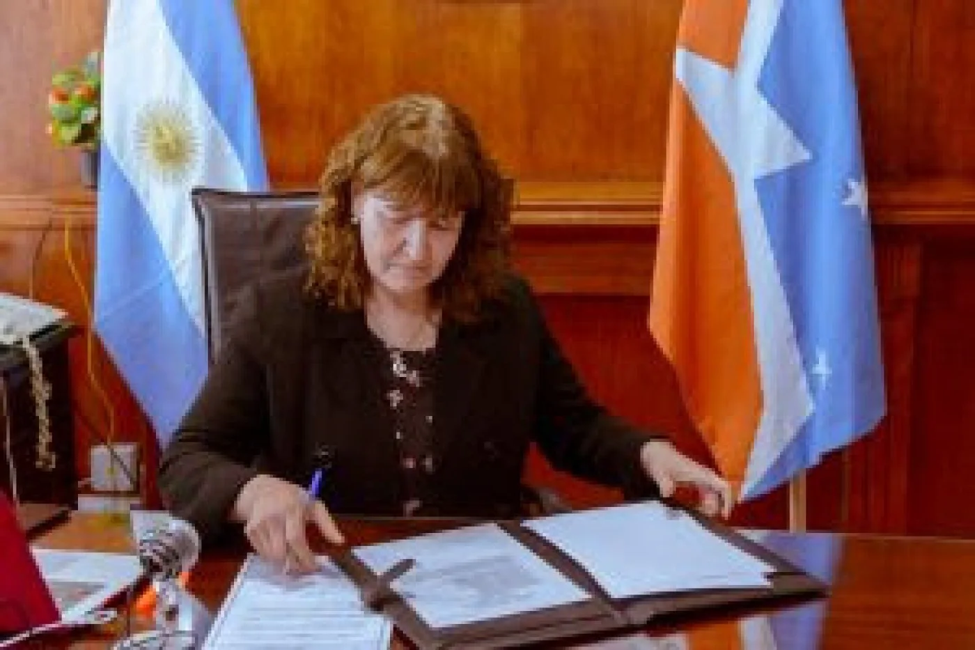 Vicegobernadora de la Provincia, Mónica Urquiza.