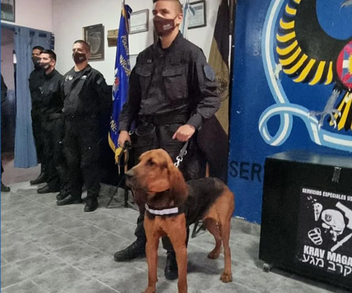 Berlín es un can que fue donado por la Policía de Comodoro Rivadavia.
