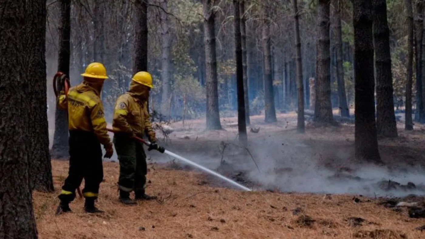 $3 millones de recompensa para encontrar a los responsables de los incendios en Chubut