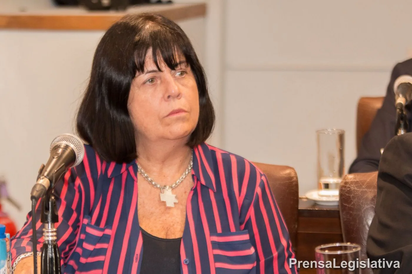Legisladora, Liliana Martínez Allende.