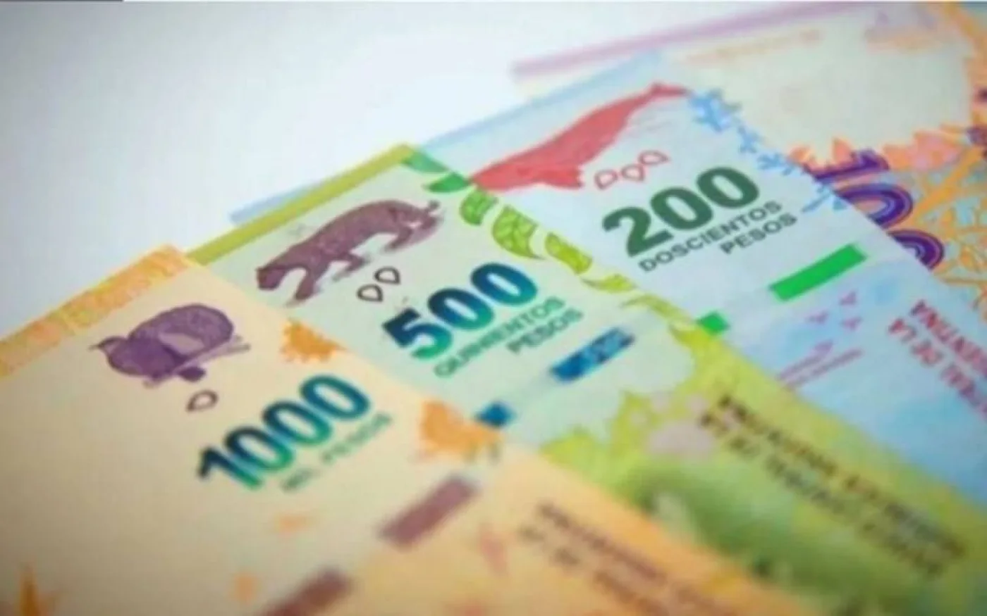 Nuevo plan de ANSES paga hasta $21.600