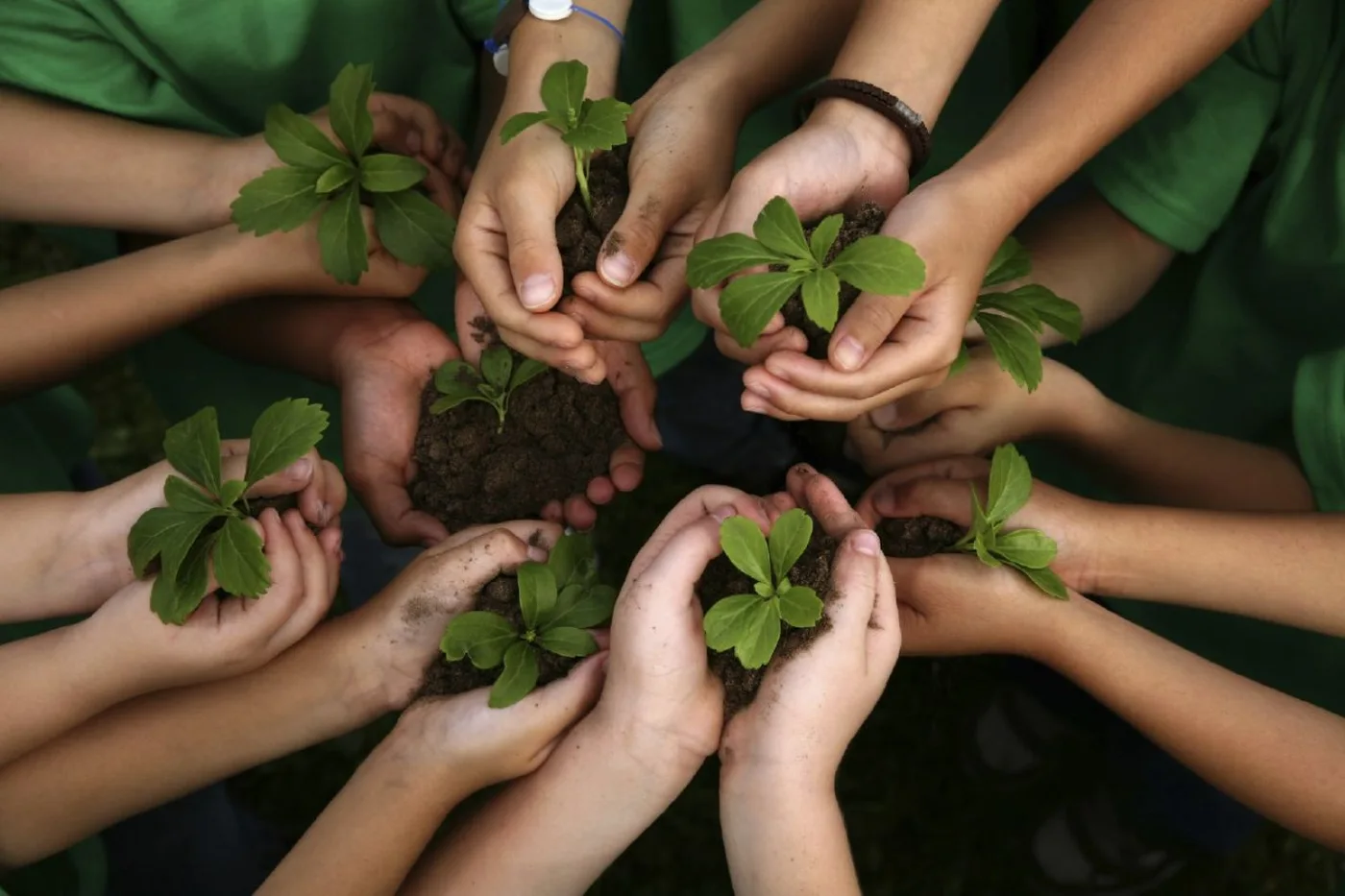 Municipio lanza un programa de educación ambiental para escuelas de la ciudad