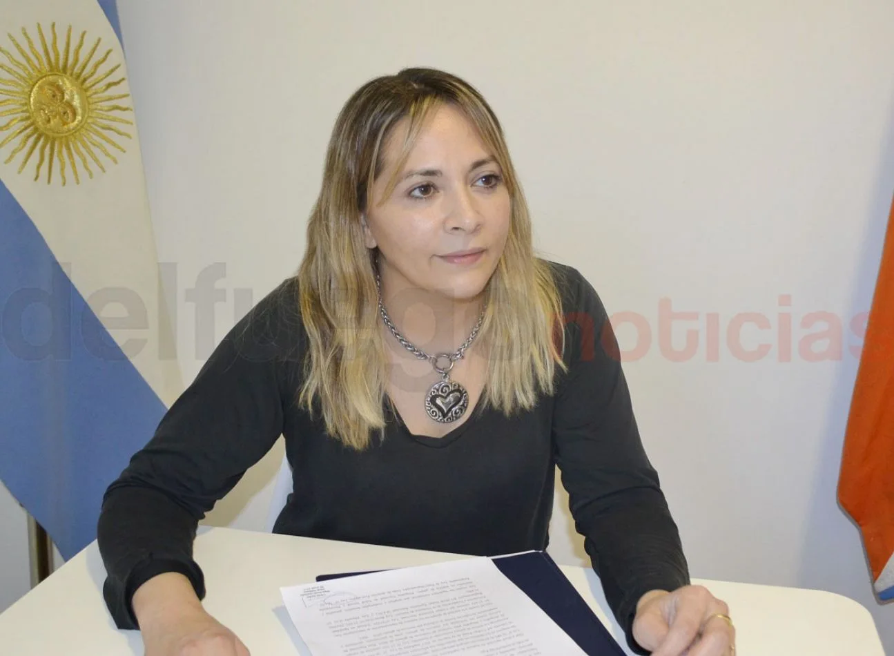 La concejal Cintia Susñar manifestó su satisfacción por el acompañamiento que tuvo en el recinto el proyecto para declarar la Emergencia en Violencia