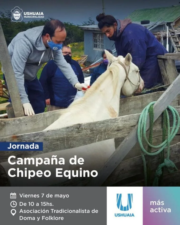 ​La omisión de la identificación de los equinos es pasible de multas que podrá aplicar el Estado municipal.