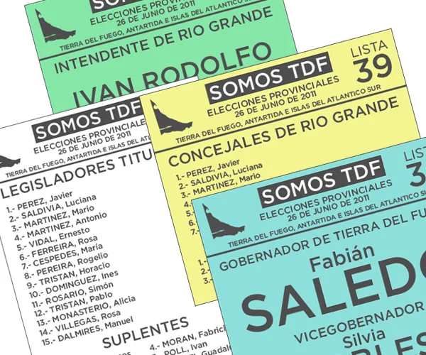 las boletas de cada estamento están divididas por colores.