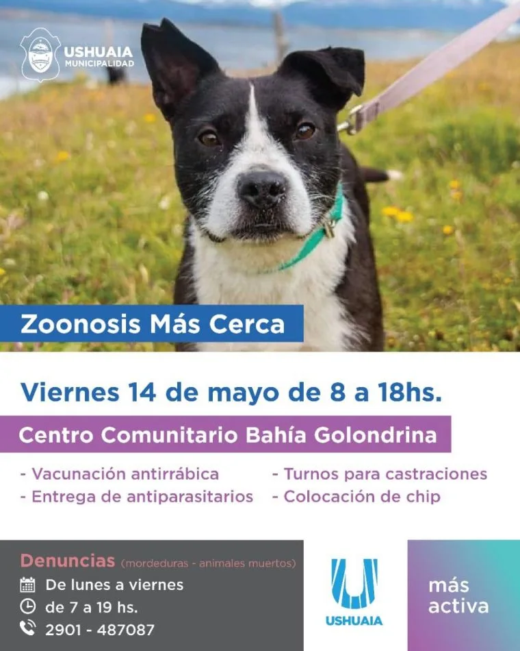 Zoonosis más cerca" estará en el B° Bahía Golondrina