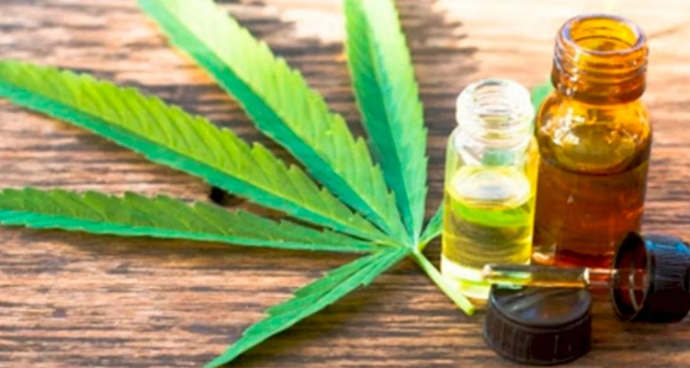 El Gobierno presentará un proyecto para el desarrollo de la industria del cannabis medicinal