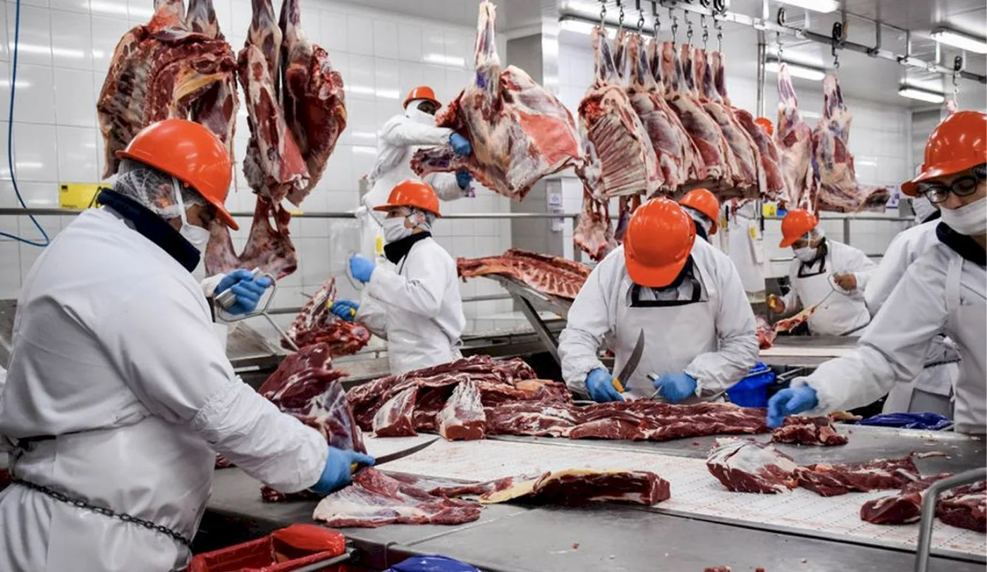 El Gobierno suspendió la operación de 12 empresas exportadoras de carne