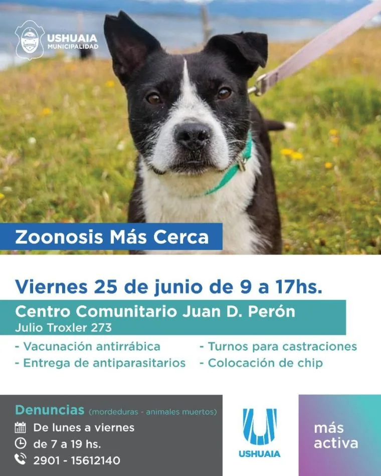 Zoonosis más cerca tendrá su jornada en el B° Perón