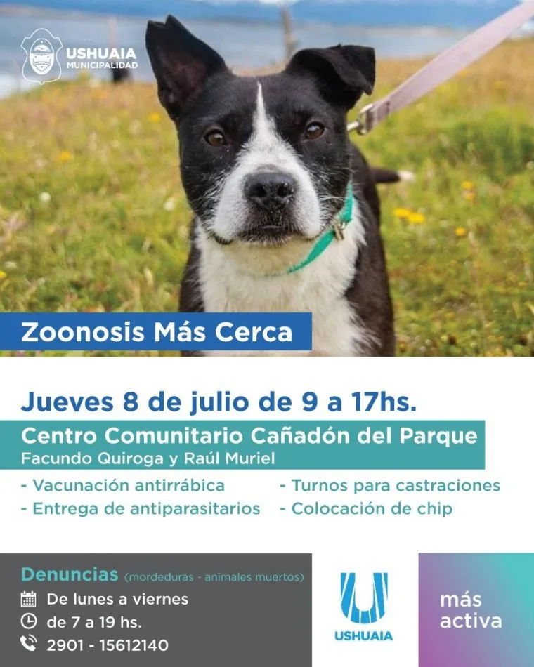 Nueva jornada de "Zoonosis más Cerca" llega al Centro Comunitario Cañadón del Parque