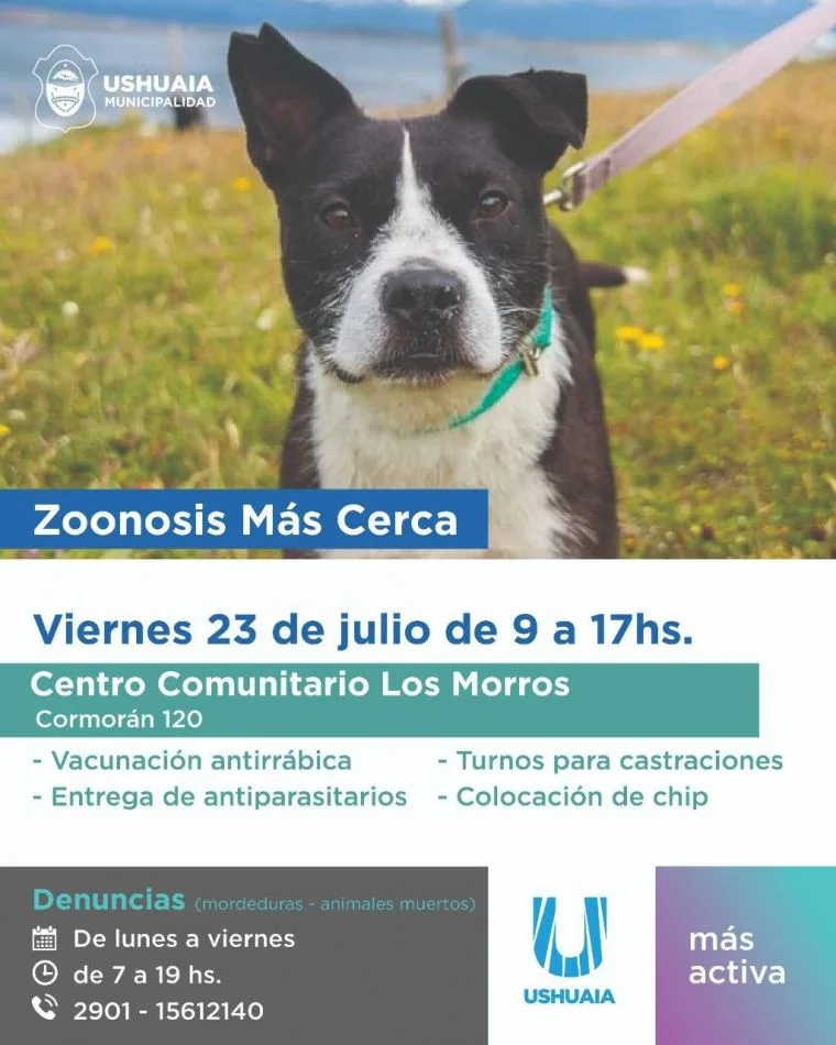 Zoonosis más Cerca estará en el Centro Comunitario Municipal del B° Los Morros