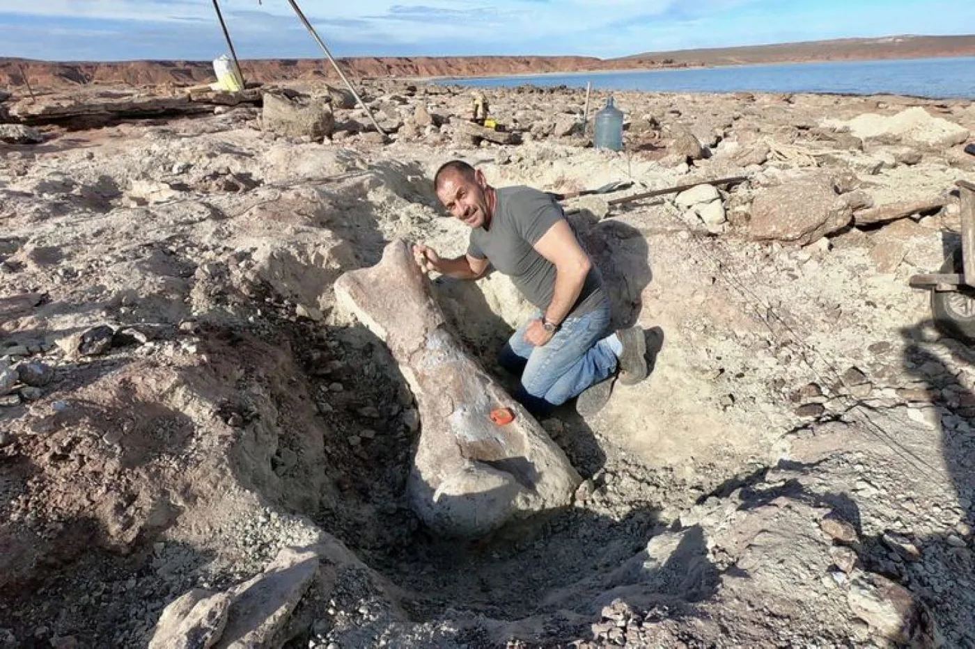 Encontraron los restos de un dinosaurio gigante en Neuquén tras la bajante de un lago