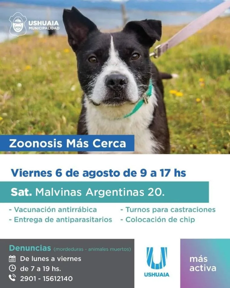 "Zoonosis más Cerca" tendrá su jornada en la sede del Sindicato Argentino de Televisión