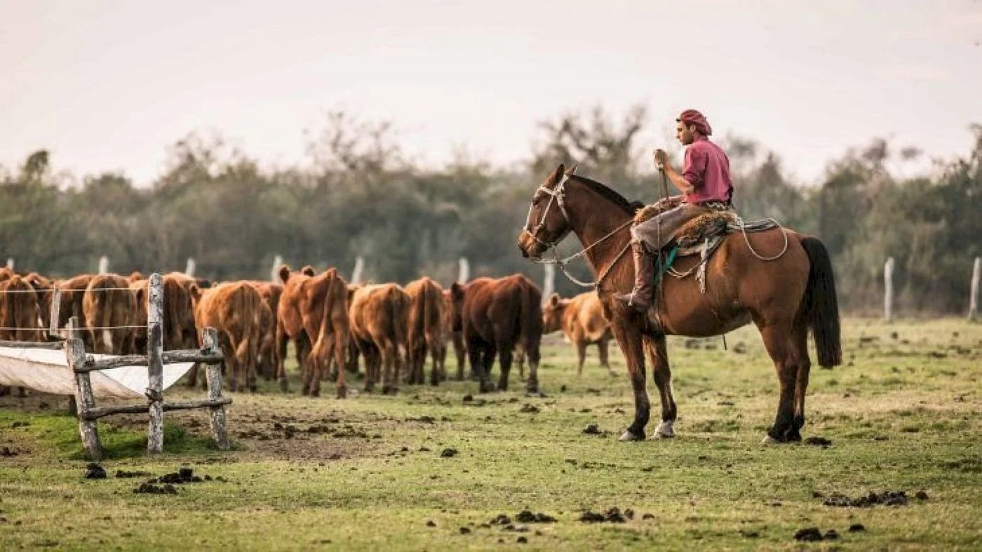 Lanza un plan para mejorar las condiciones de los trabajadores rurales