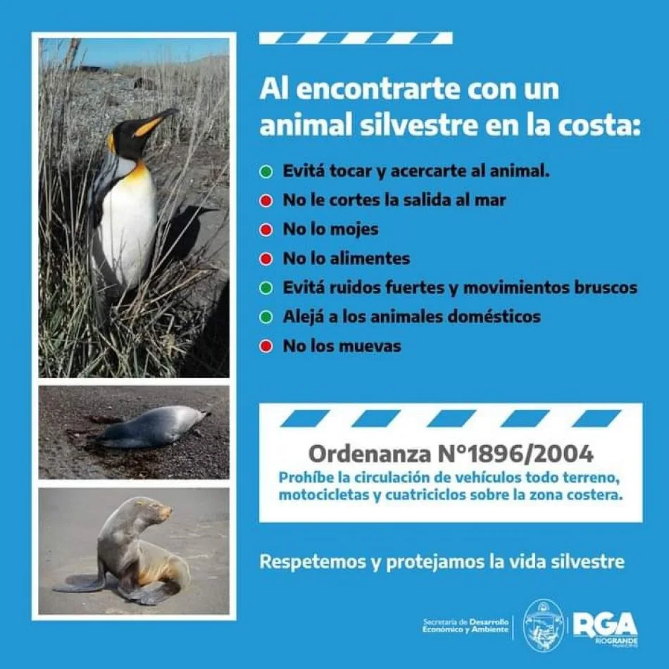 Recomendaciones ante la presencia de fauna silvestre en área costera