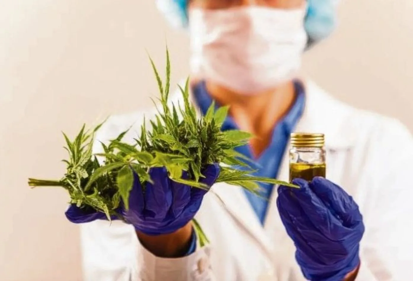 Jujuy buscar exportar cannabis medicinal