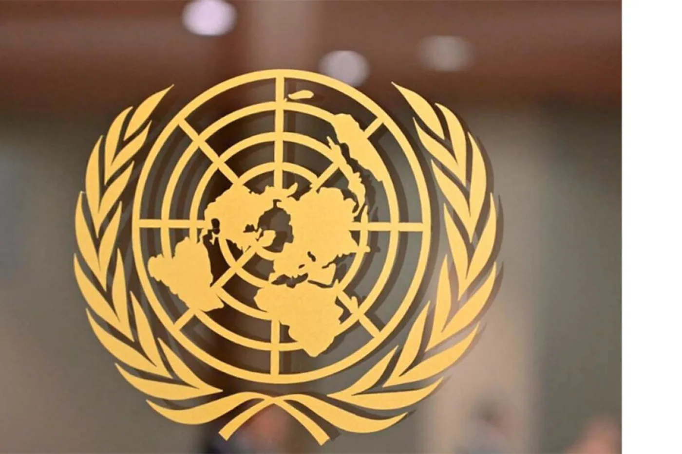 La ONU recomienda no utilizar la palabra "señorita"
