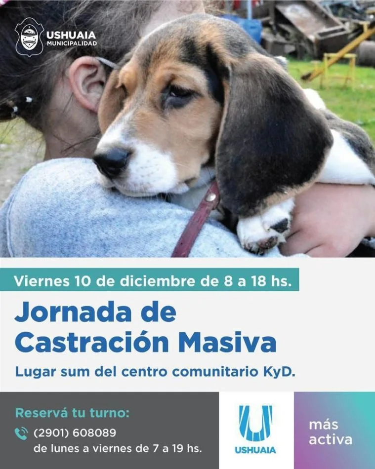 Jornada de castración masiva en el SUM del KyD