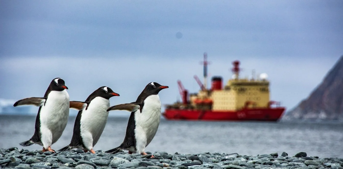 El rompehielos Almirante Irízar, símbolo de la presencia argentina, en operaciones de reabastecimiento de las bases antárticas. Foto: Sebastián Lobos