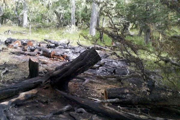 Para evitar incendios se restringen los lugares donde puede hacerse fogatas.