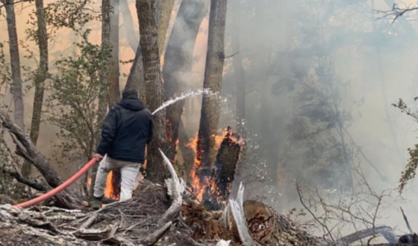 Personal de la forestal combatiendo las llamas.