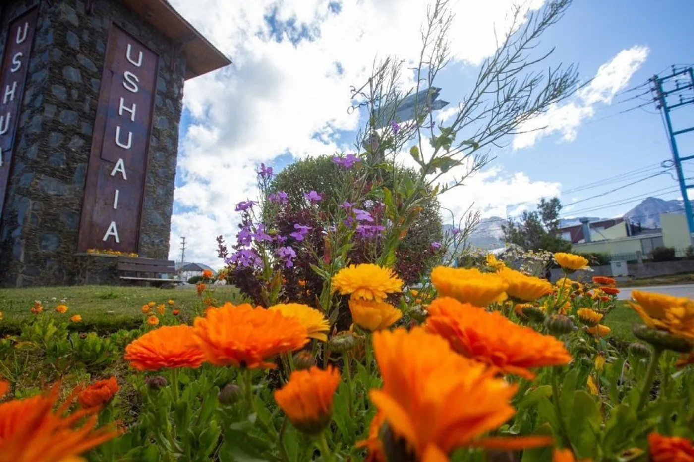 La ciudad se llena de colores con las nuevas flores de la temporada