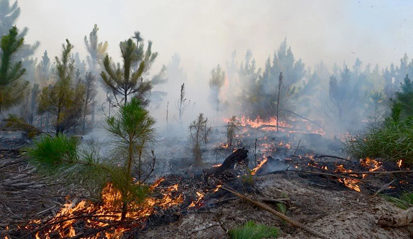 Focos de incendios en Corrientes.