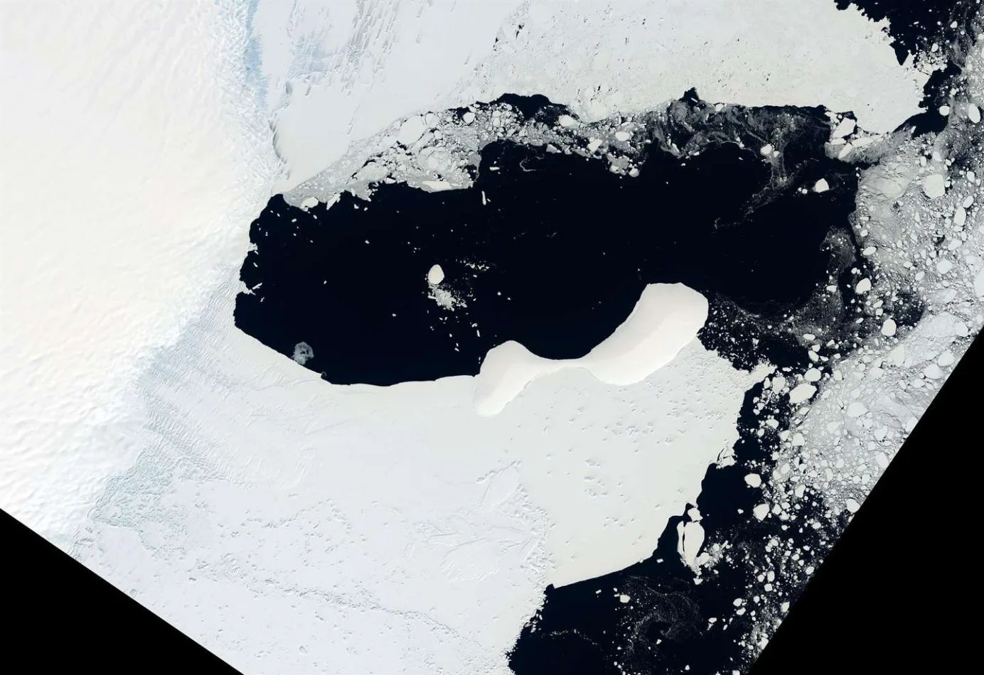 Una plataforma de hielo de más de 1.200 kilómetros cuadrados colapsó en la Antártida