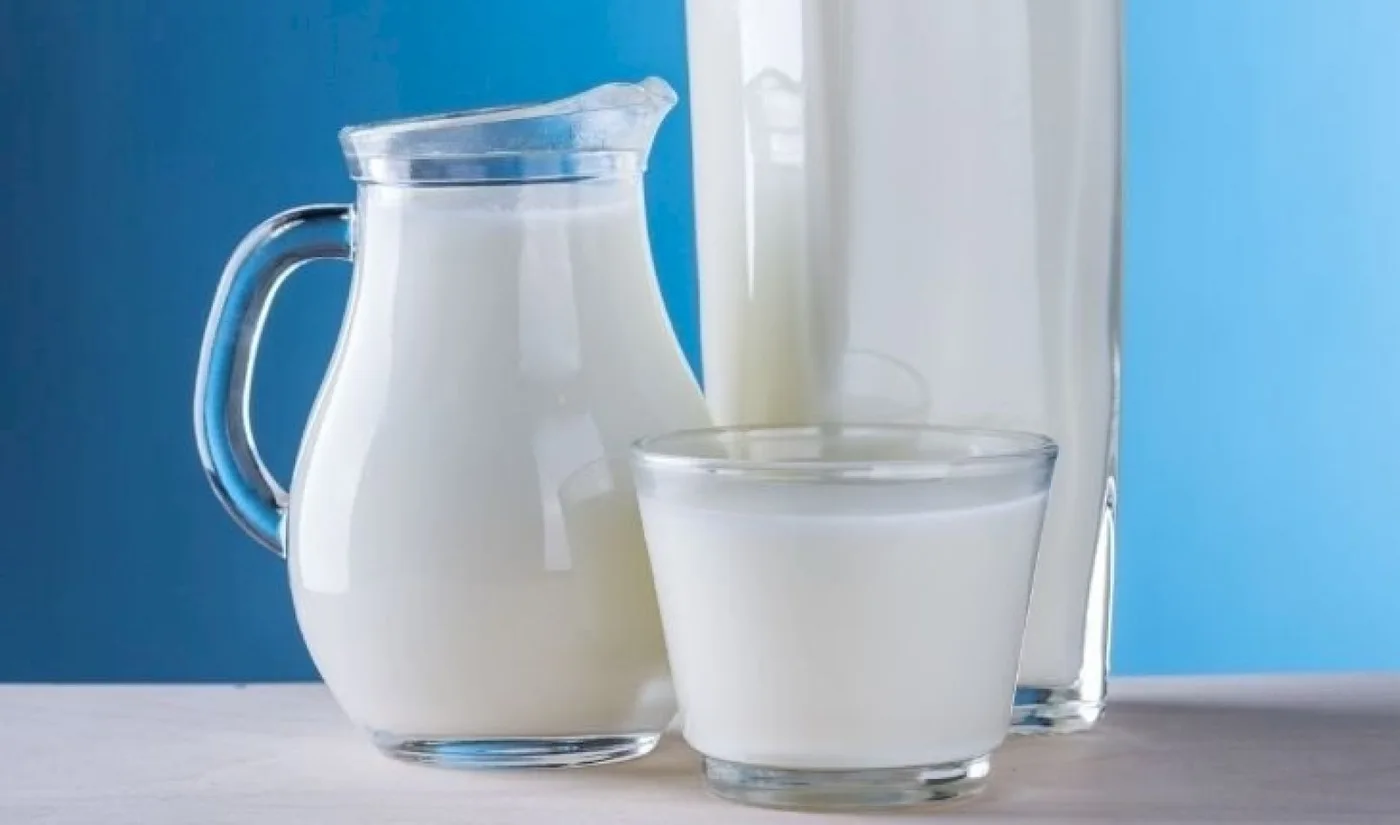 Día Mundial de la Leche: 6 de cada 10 argentinos consumen una porción de lácteos al día
