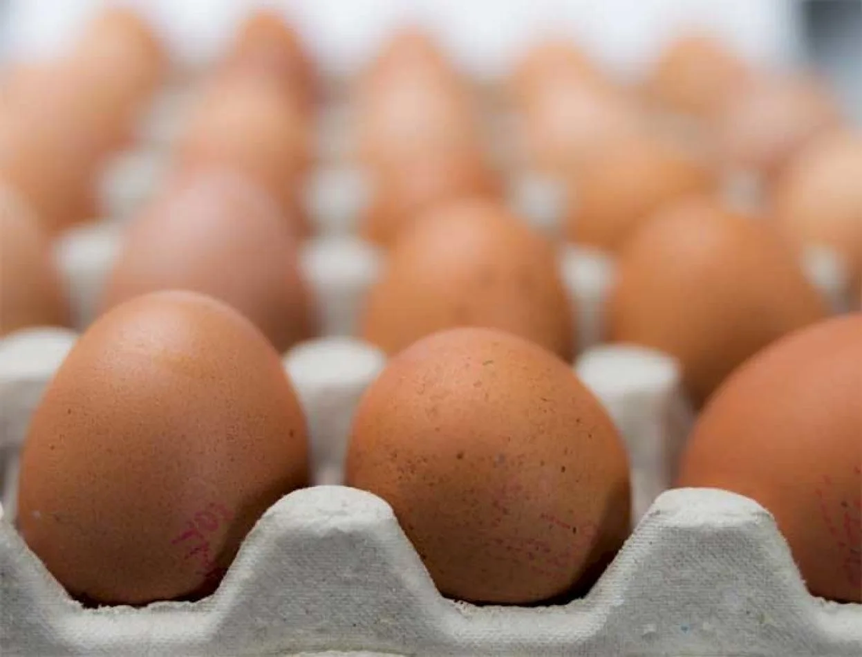 Comer huevos puede mejorar la salud del corazón