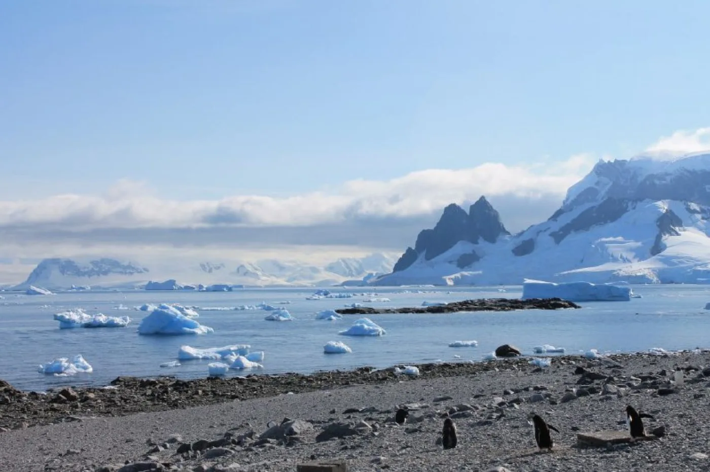 Este jueves comienzan las actividades del "Festival Antártico 2022