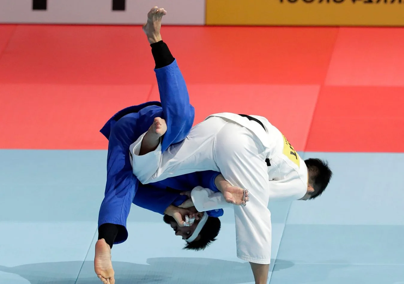 Río Grande será sede del Torneo Patagónico de Judo