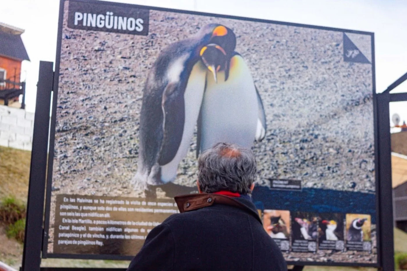 Se inauguró la muestra  ‘Caminata por Malvinas, naturalmente argentinas y fueguinas’.