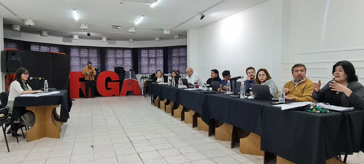La secretaria interina del Juzgado de Faltas de Río Grande Paola Mangialavori participó del debate con los concejales de Río Grande.