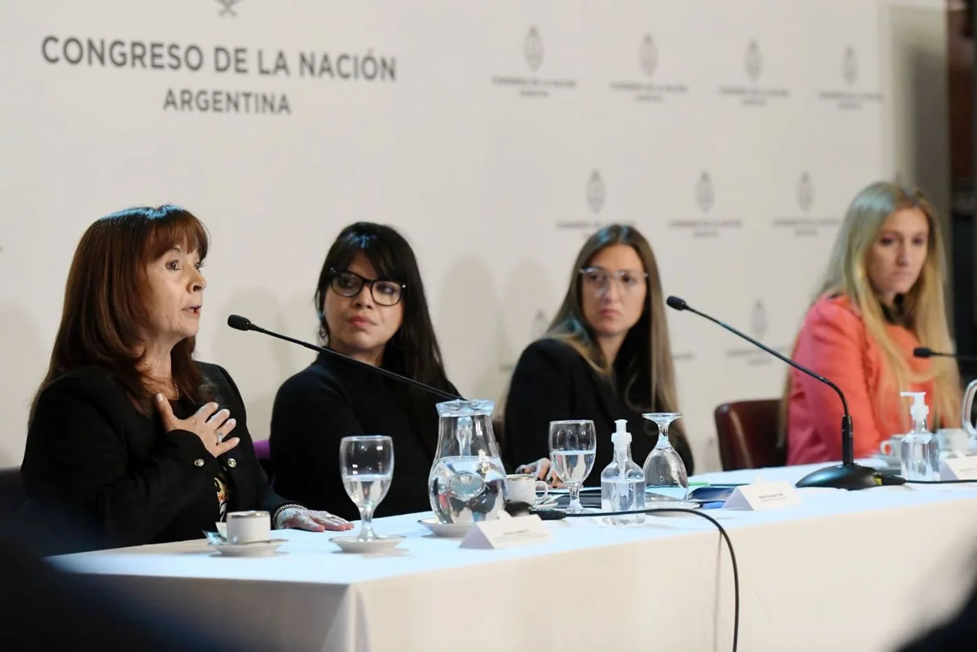 la senadora fueguina María Eugenia Duré, junto a Susana Trimarco, participó del Seminario sobre “Migración y Trata de Personas”.