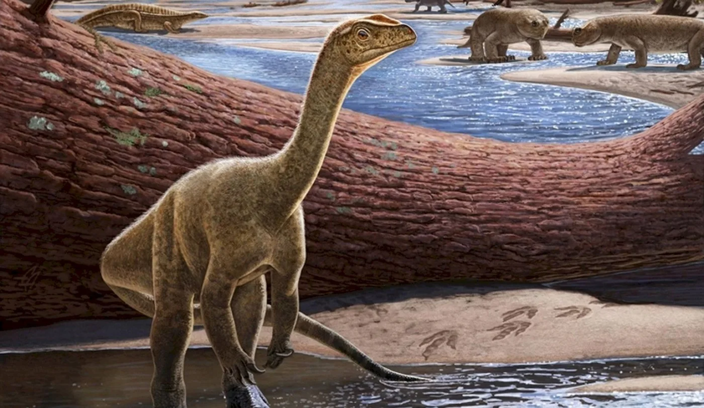 Hallaron el dinosaurio más antiguo de África